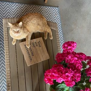 Meet your Posher, Tisha